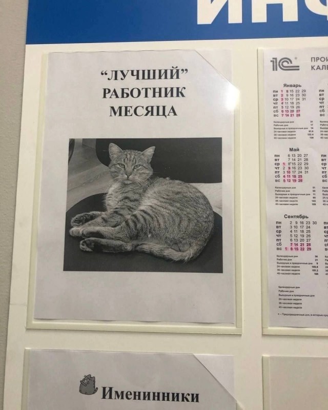 Напомню