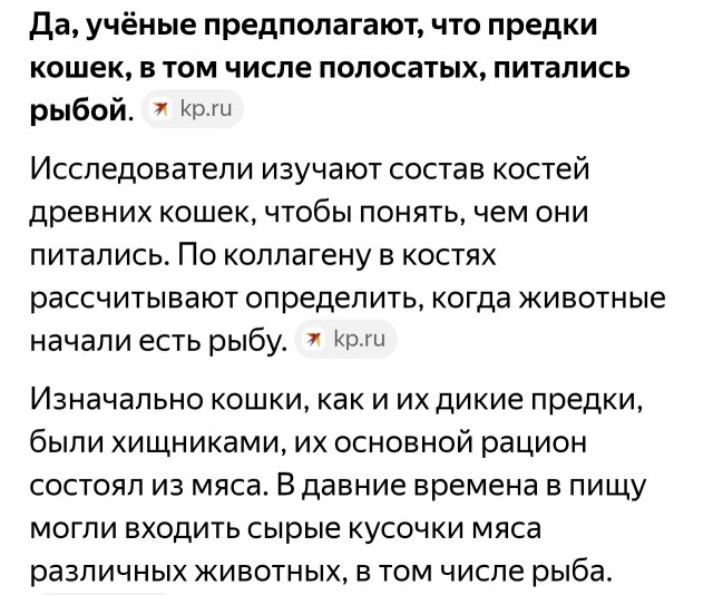 Японский ветеринар Тукао Вацти – о том, почему кошки в Японии живут дольше всех в мире.