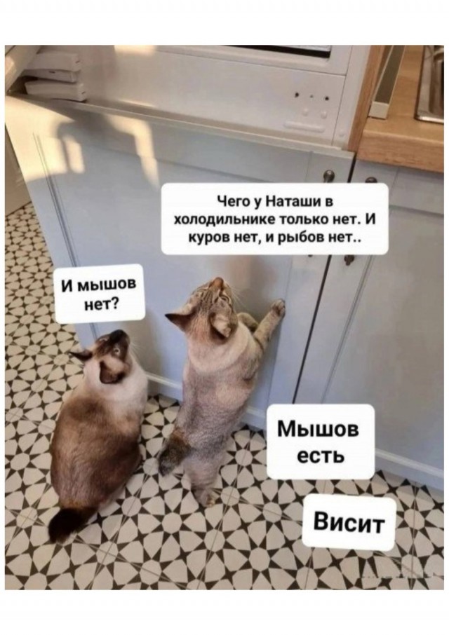 Прикольные и просто красивые картинки 25.11.2025