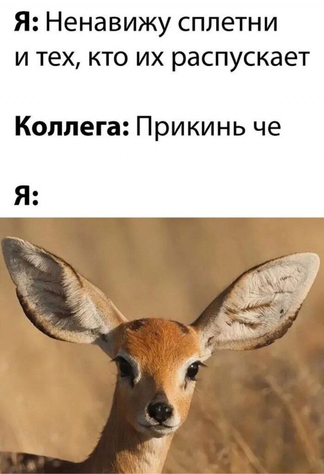 Четверговые картинки