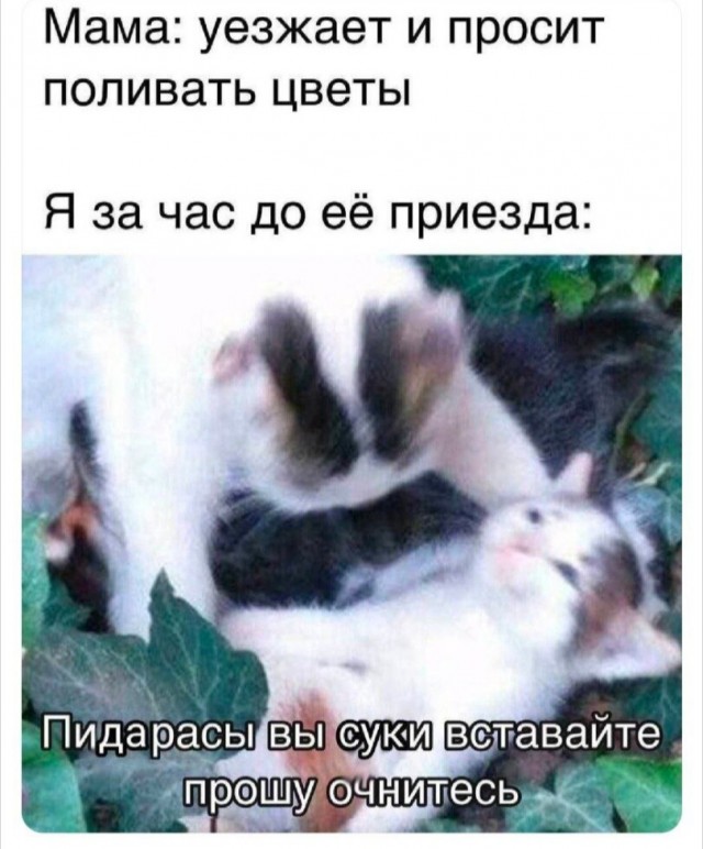 Воскресные картинки