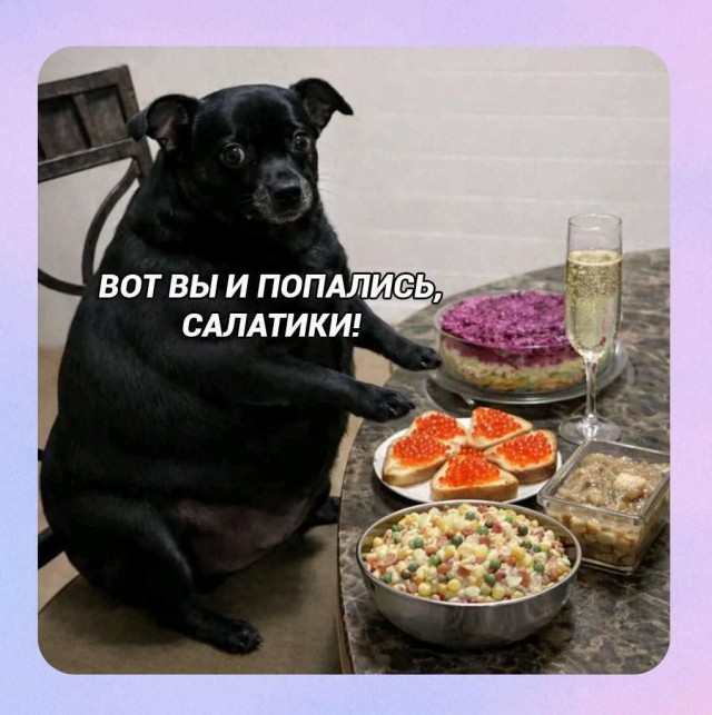Картиночки, баянчики 11 января