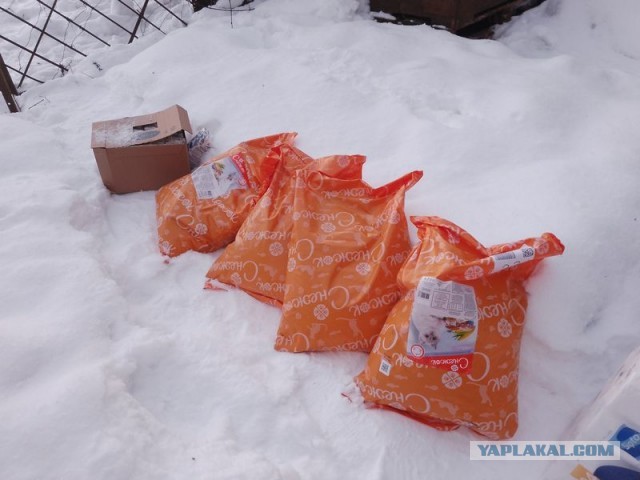 Жизнь домашнего приюта для котеек 572