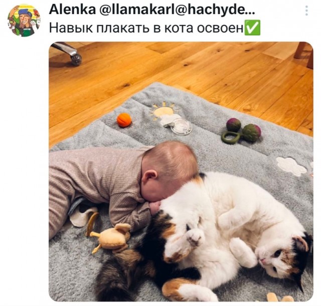 Среды картинки