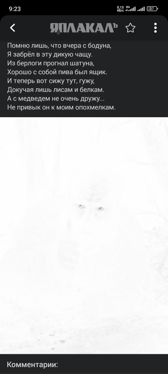 Хорошо жить в лесу!