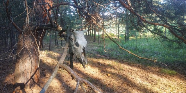 Просто немного фотографий