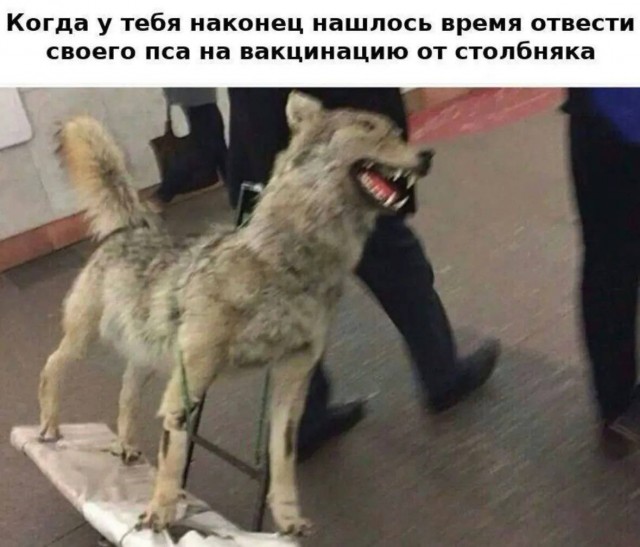 Да очухается