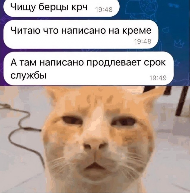 Картинки для деградации 246 (разной степени свежести)