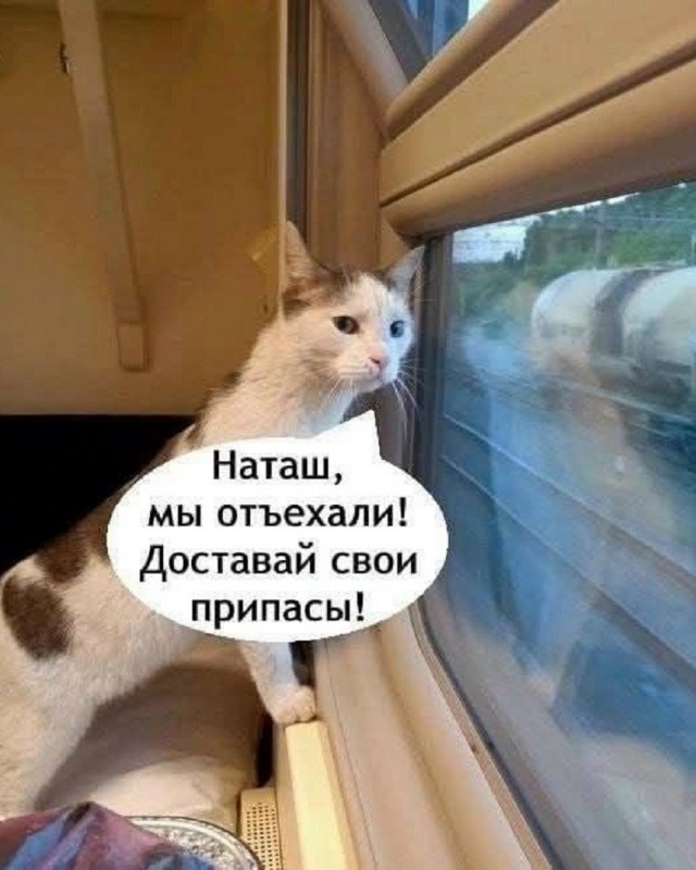 Так себе картинки 13.08.26