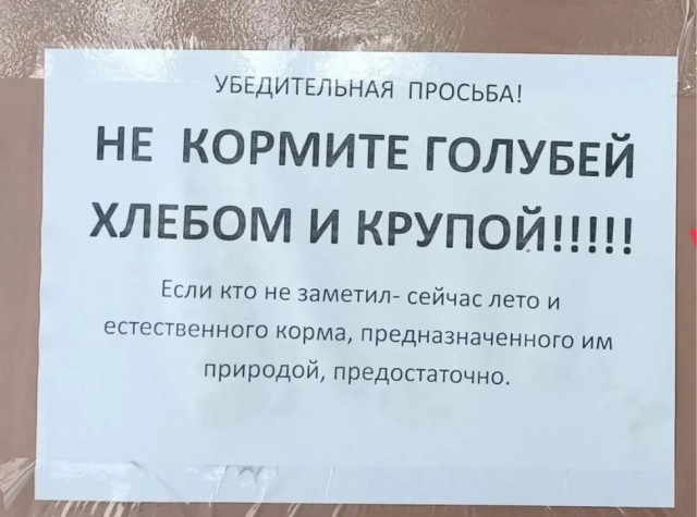 Объявленице