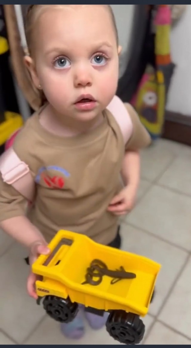 Ящерки тоже забавные