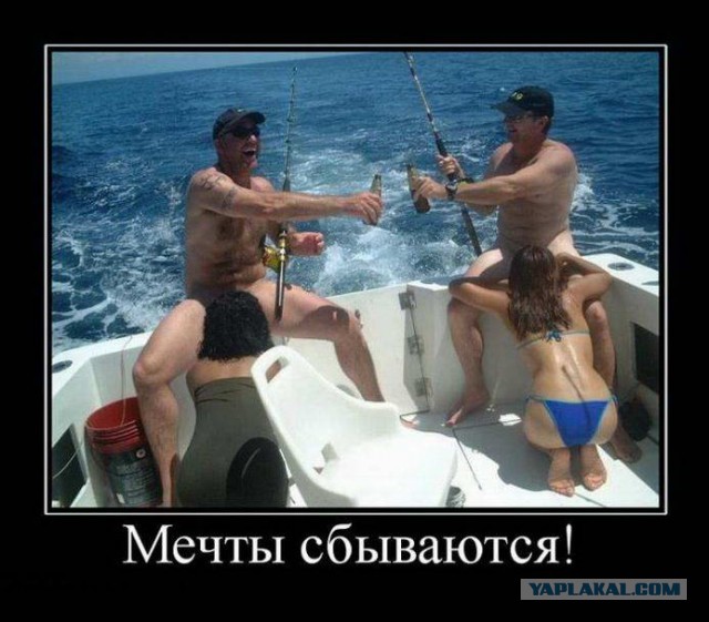 Обычное сибирское фото