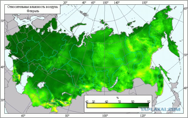 -50.0 У кого ниже?
