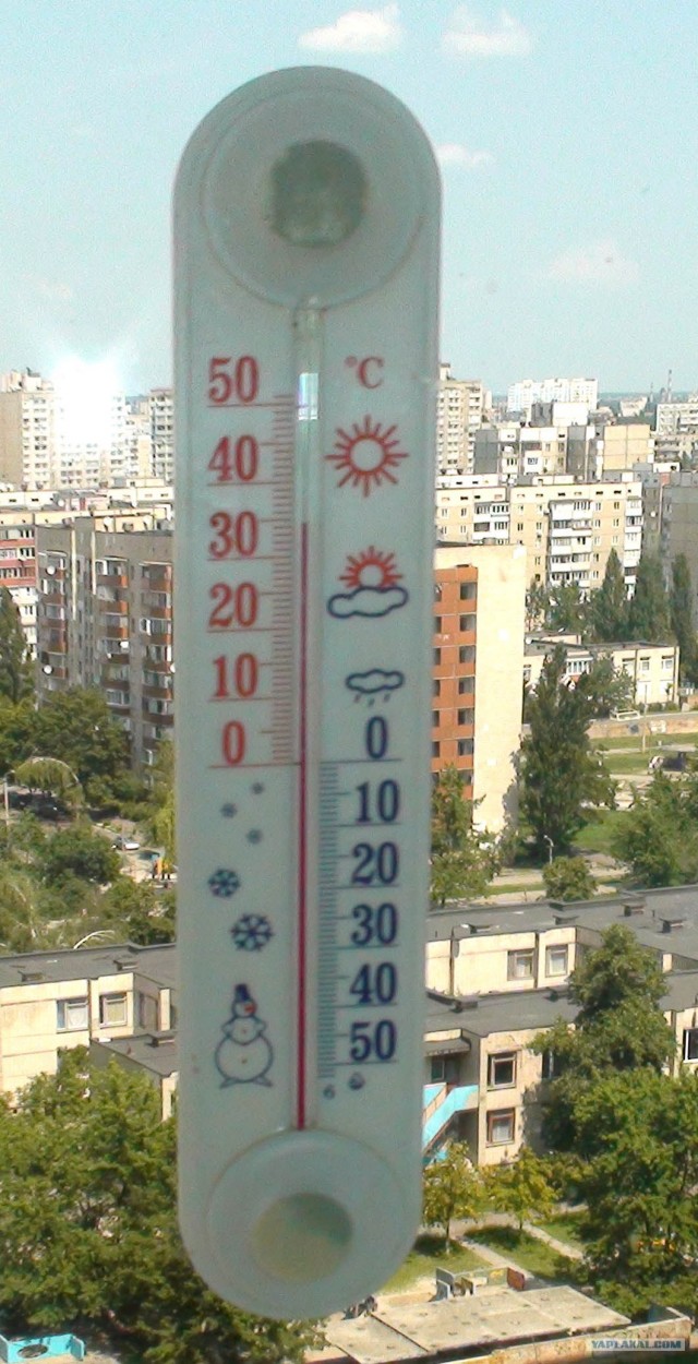 Солнечная сторона лета 2010 года