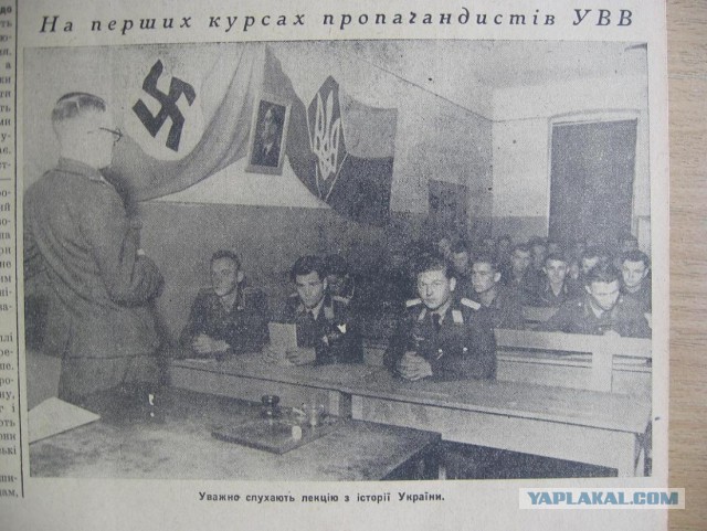 Апогей идиотизма