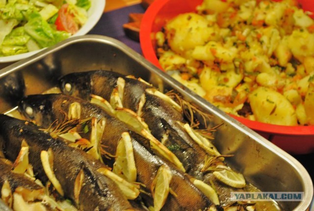 International одной книги., В память о Дженибеке.