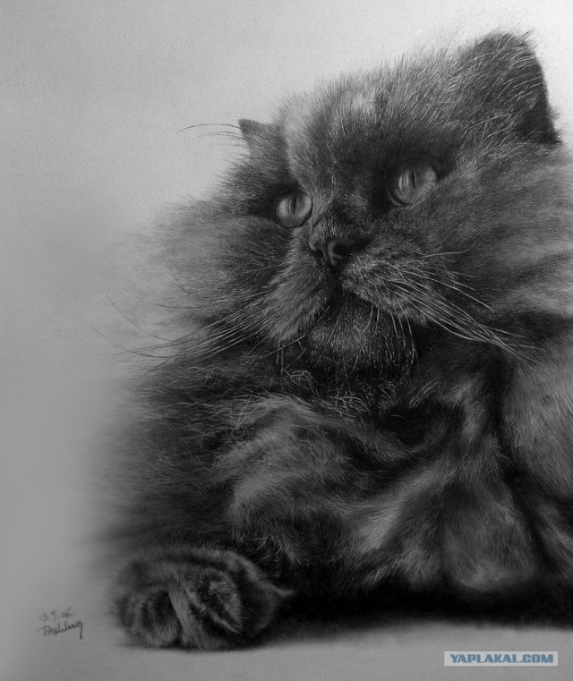 Рисованный котовторник