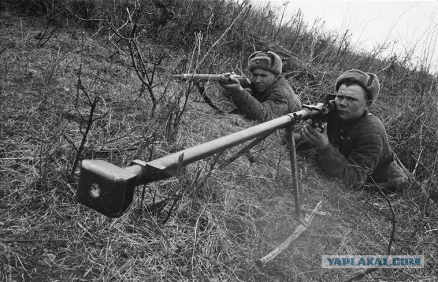Вот как надо было терминатора мочить!