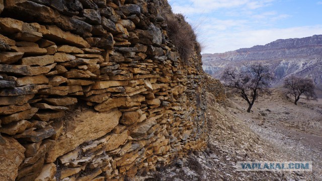 Дикарями в Дагестан, апрель 2015 г.