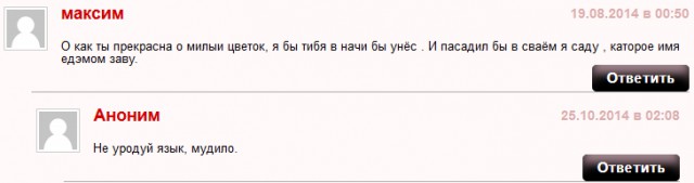 Смешные комментарии из социальных сетей