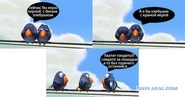 Весёлые картинки