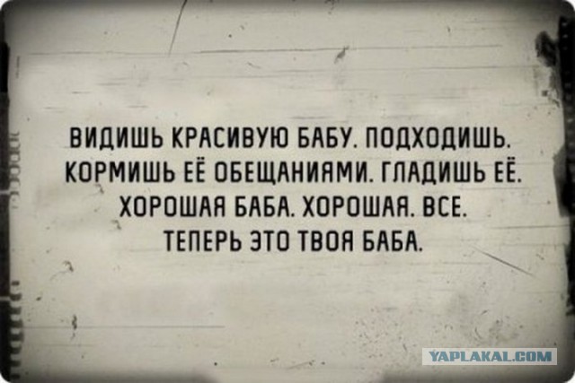 Смешные объявления и надписи