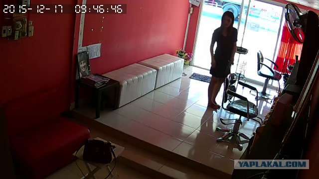 За что я люблю китайцев