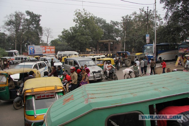 Самостоятельное путешествие в Шри-Ланку