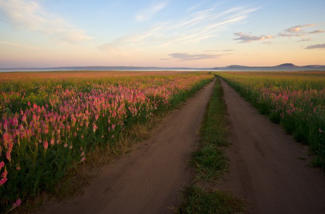 Самые красивые дороги России ( 20 фото )