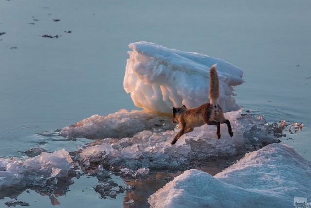 Подборка прикольных фото