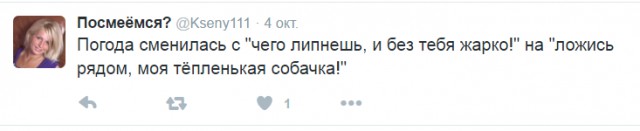 Смешные комментарии 09.10.2016