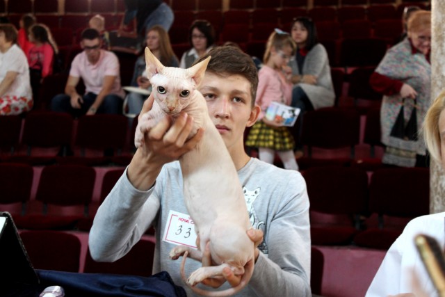 «Осенний Кошкент-2016»