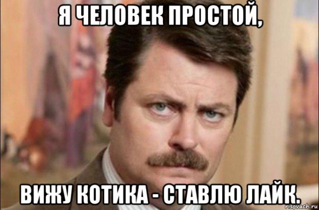 19 бесподобных котов, которые родились, чтобы прославиться.