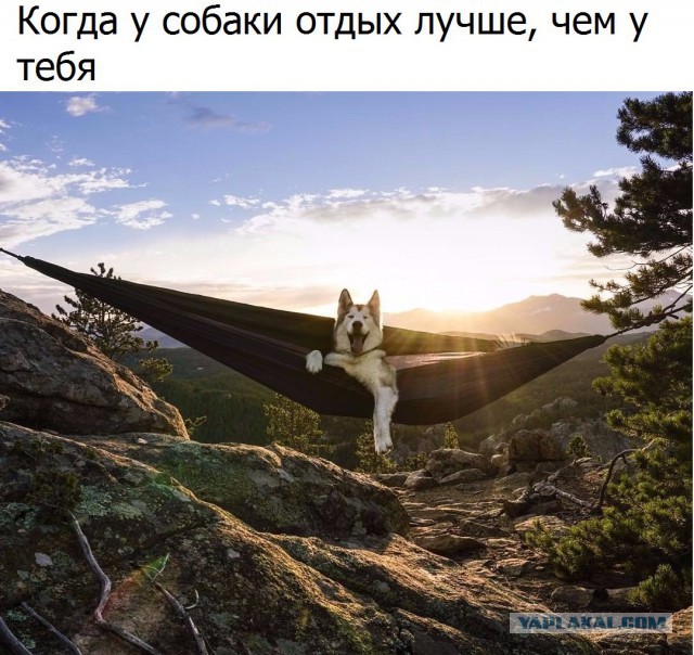 Картинки, весело, чернуха, не везде.