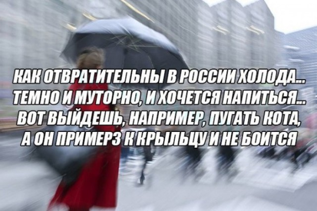 Смешные комментарии из социальных сетей 10.03.2017