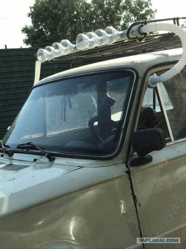 Картинки всякие для поднятия настроения