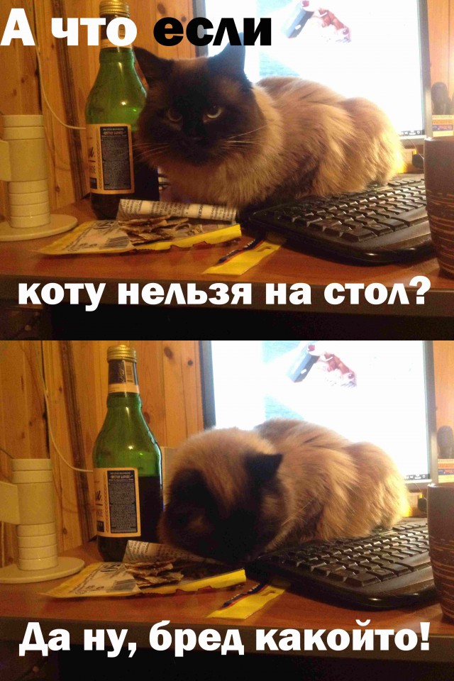 Как мы с Мартином стол запилили.