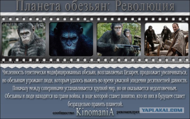 Как выглядит дом самого образованного человека в Дагестане