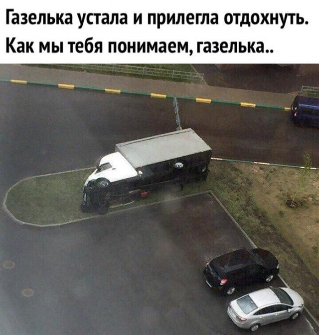 Картинки по-приколу