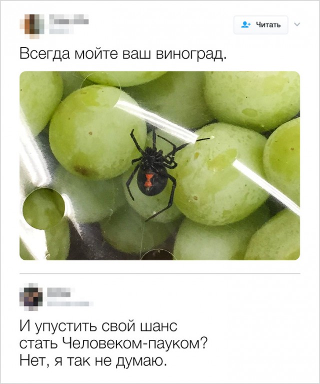 Смешные комментарии интернет-пользователей