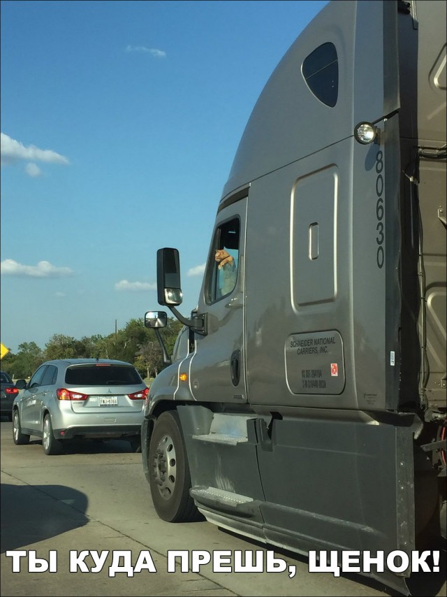Нестандартный юмор