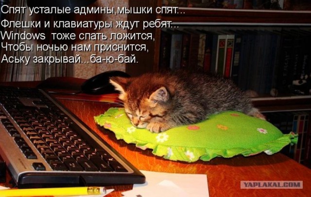 Котовторнику Да (09.12.08)