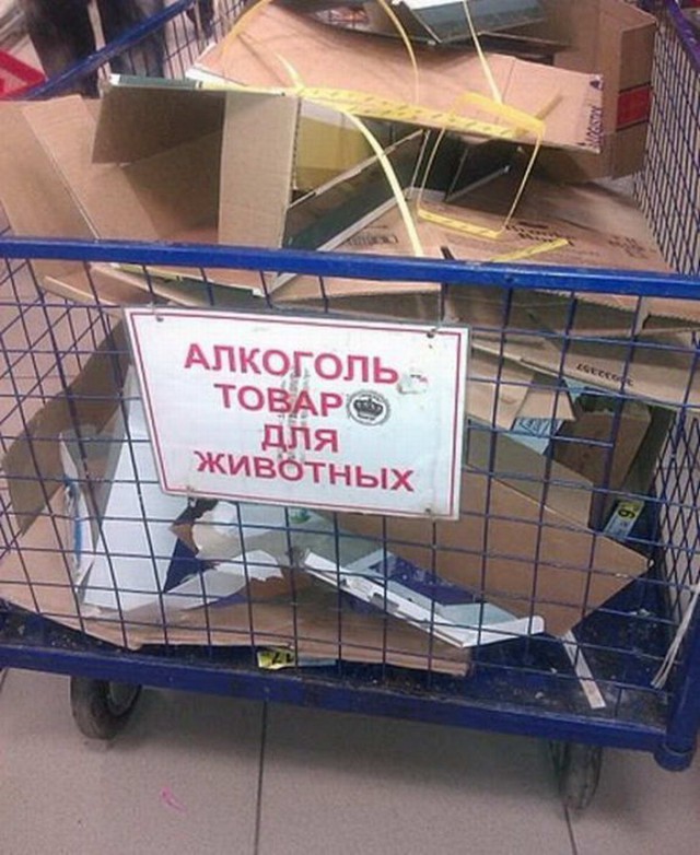 Немного картинок в этот понедельник