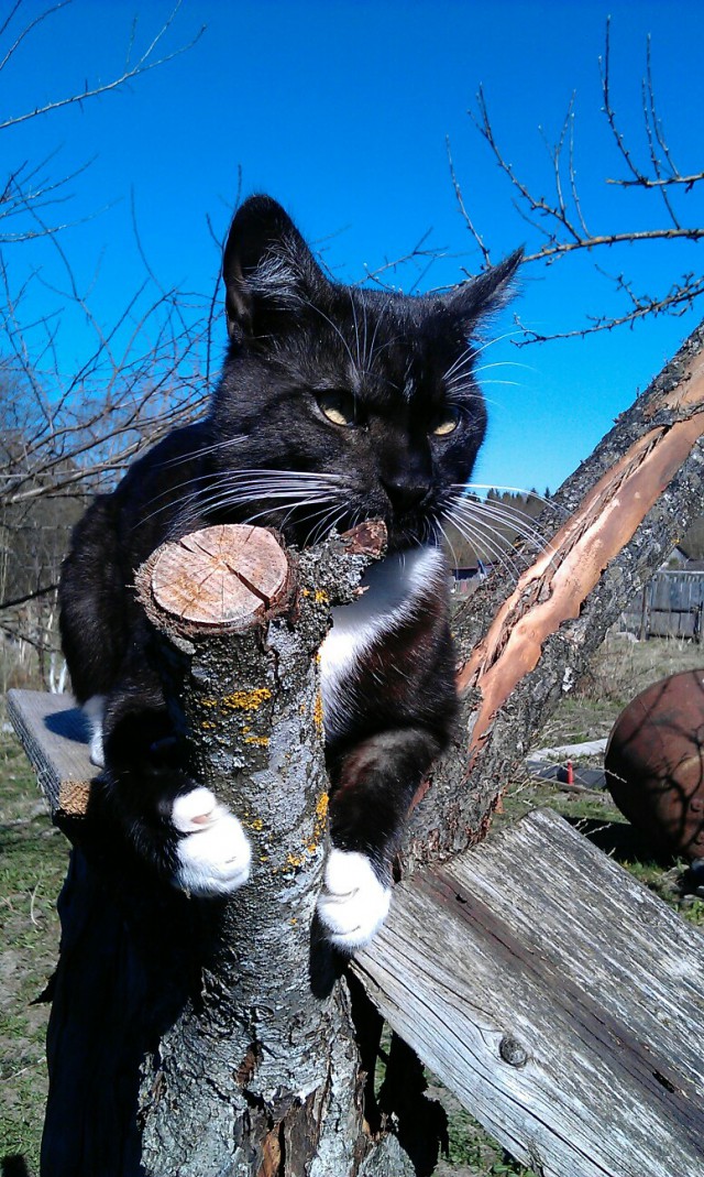 Немного милоты