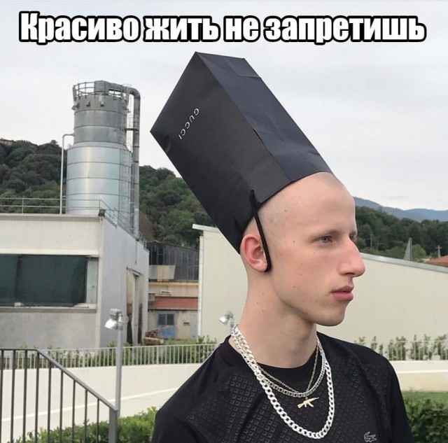 Скотсети и прочие интернеты 22.08.18
