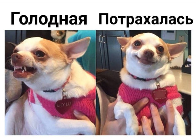 Немного картинок в эту среду