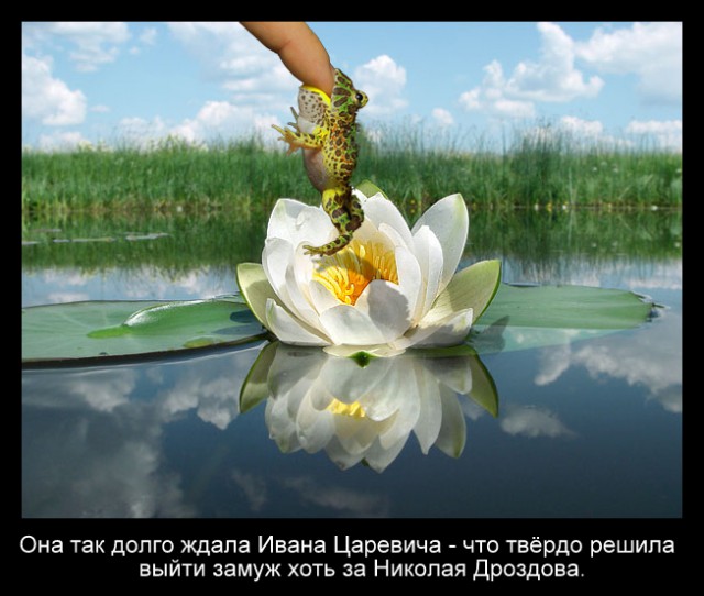 Так, граждане тунеядцы! Картинки, значит, смотрим