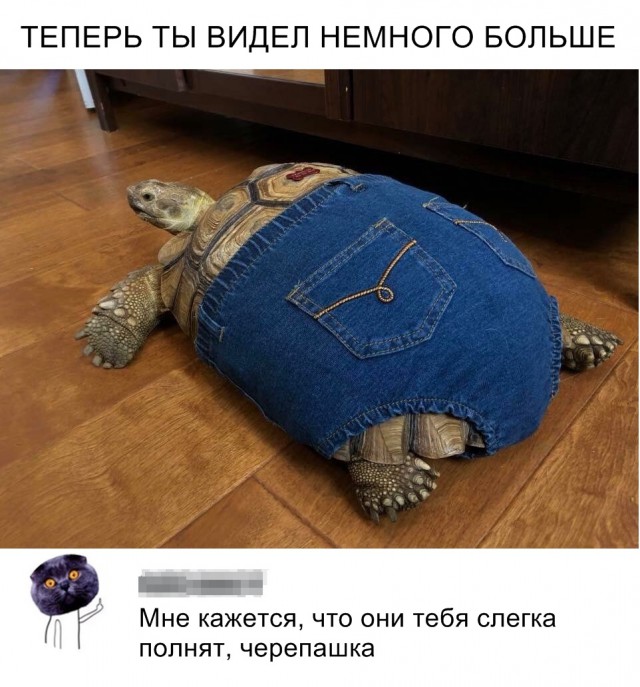 Нестандартный юмор