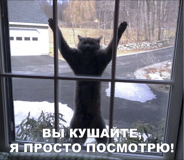 Нестандартный юмор