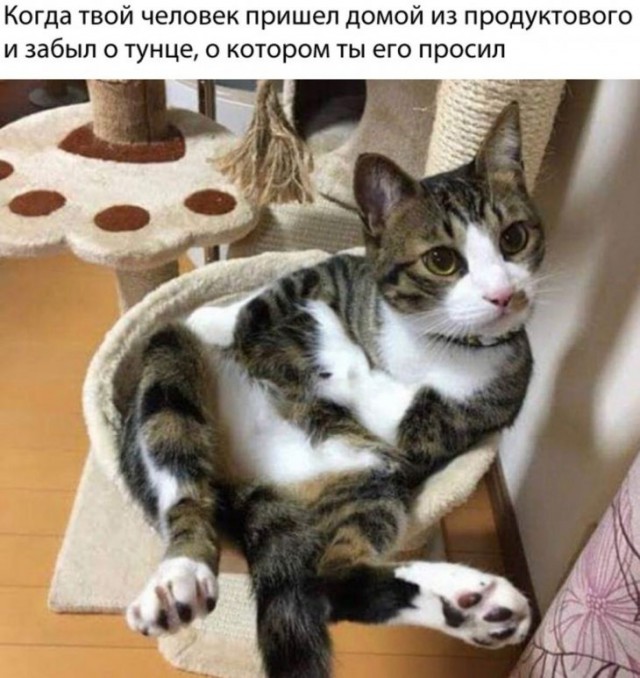 Немного картинок для настроения